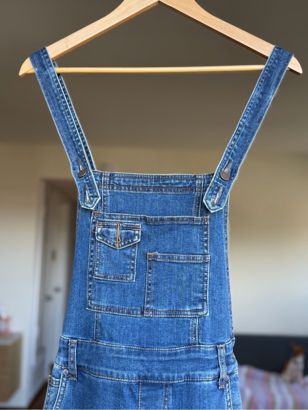 Free People Denim Overalls